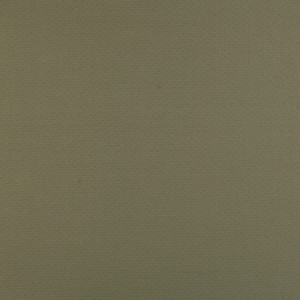 Proof Lite Olive